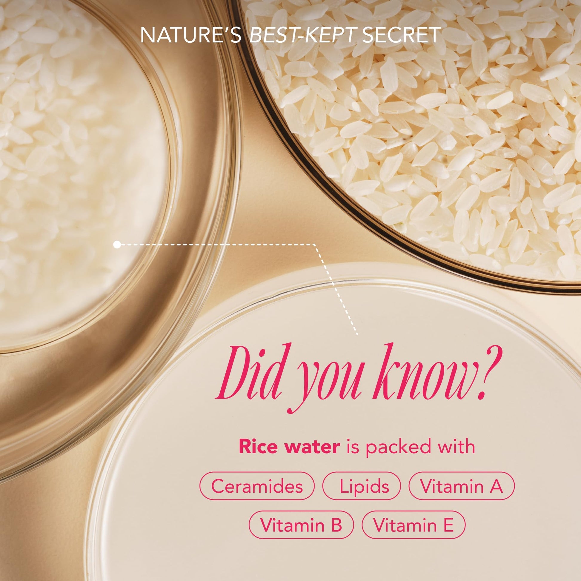 The Face Shop Rice Water Bright foaming cleanser and vegan serum travel size bottles standing upright.