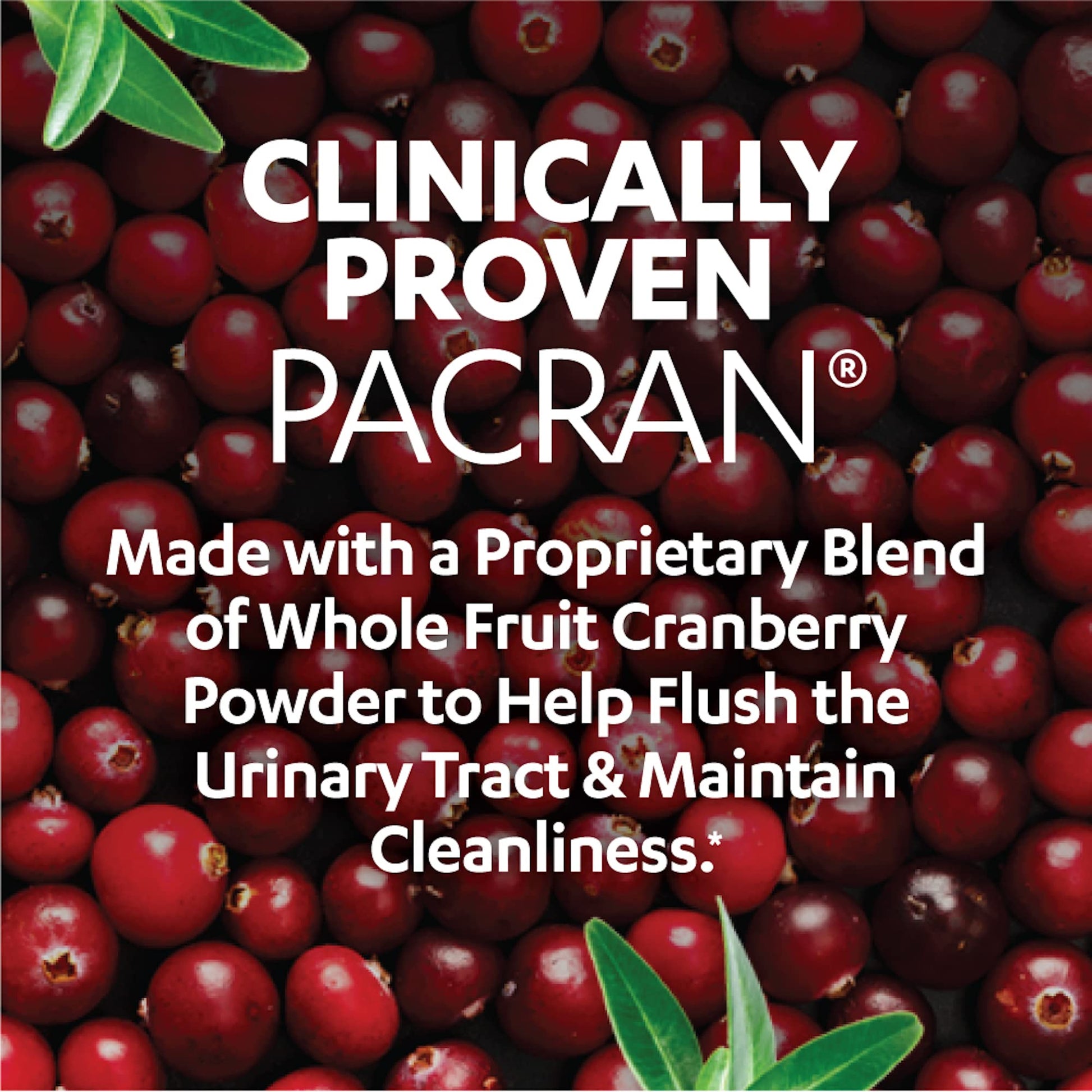 USA sourced AZO cranberry caplets supplement facts label and ingredients.