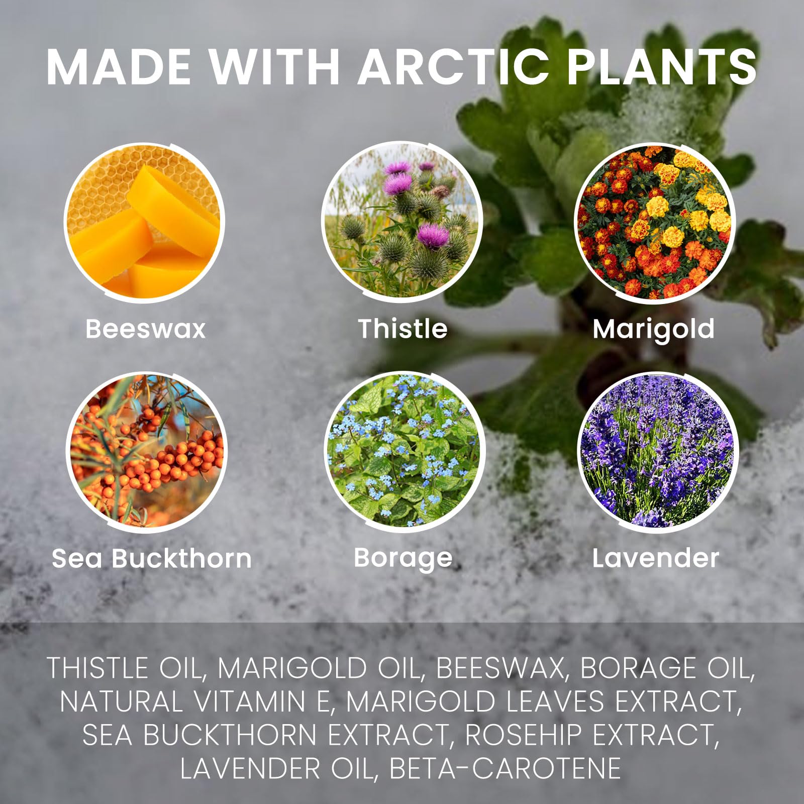Norse Organics skincare balm for oily and acne prone skin