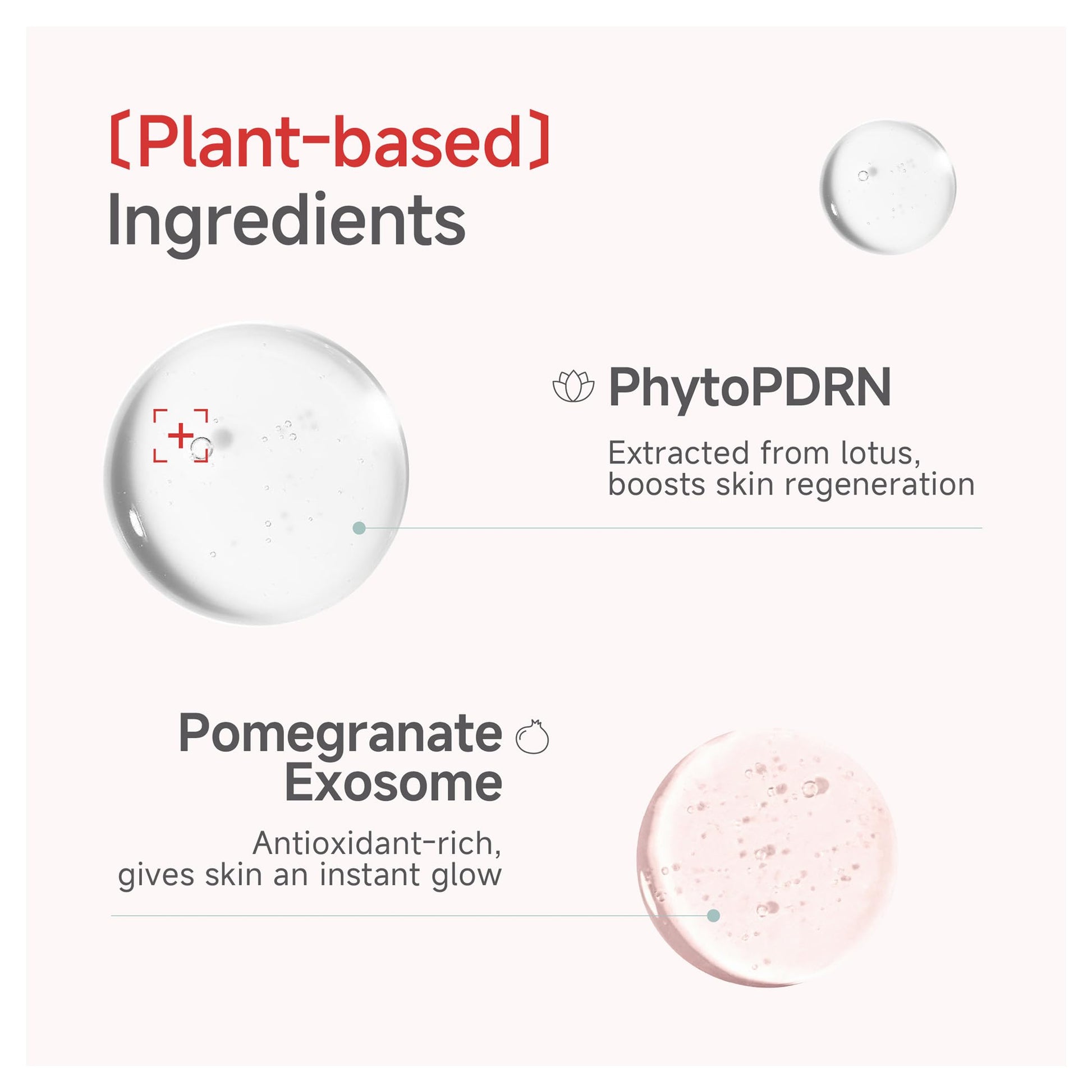 Close up of Candorlov collagen mask ingredients and branding