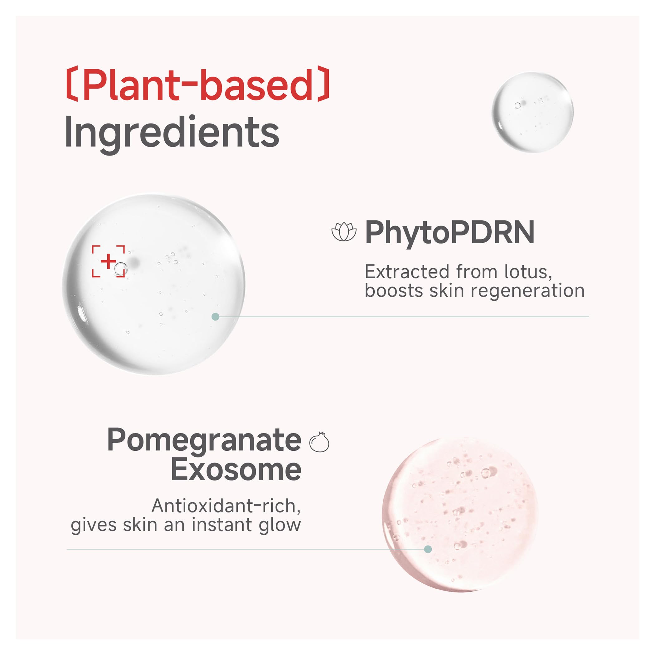 Close up of Candorlov collagen mask ingredients and branding