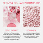 Laneige Bouncy And Firm Sleeping Mask brand label detail
