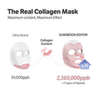 Sungboon Editor skincare set components laid out