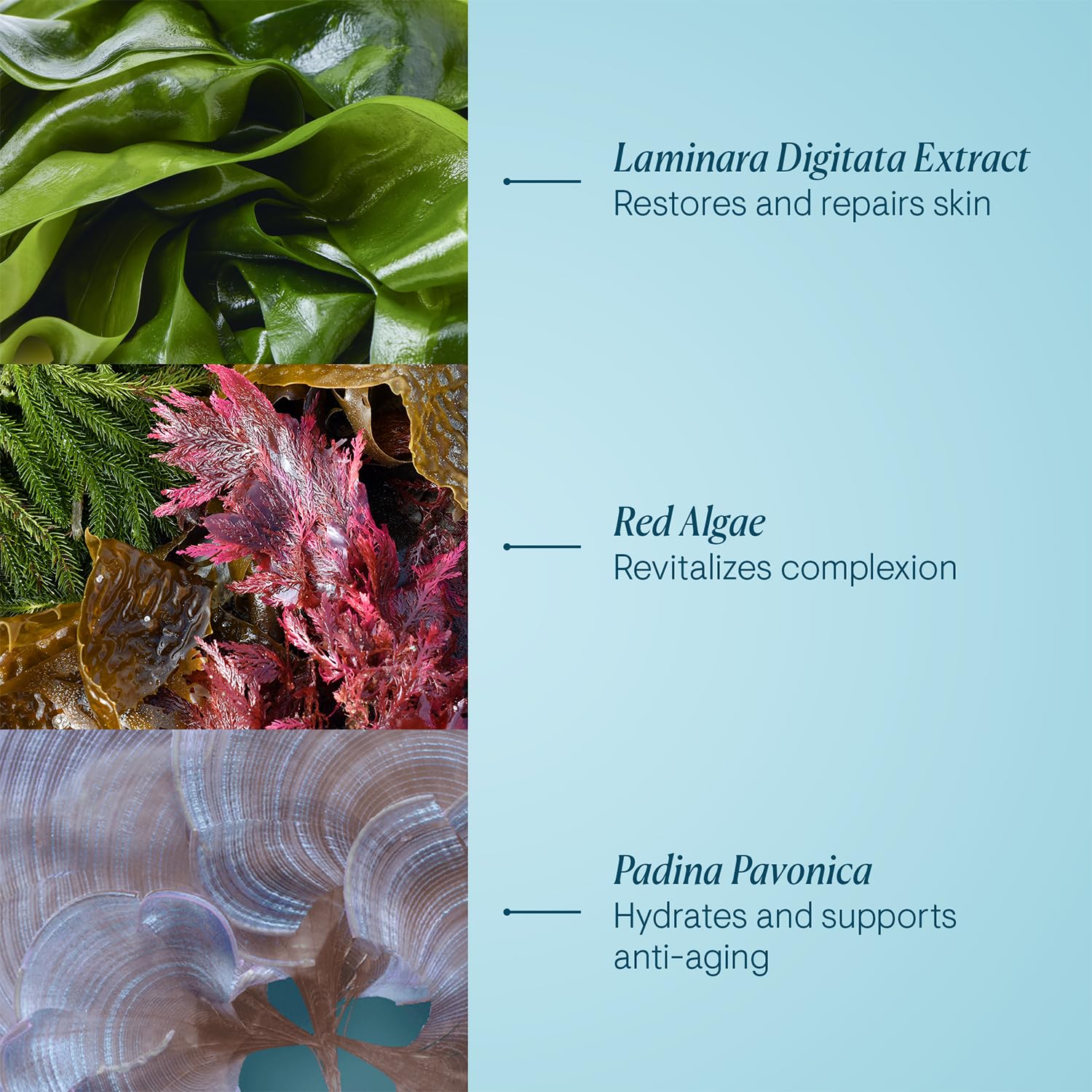ELEMIS anti-wrinkle nightly facial moisturizer showing active marine ingredients details on label