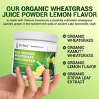 Authentic USA imported Dr. Berg organic wheat grass juice powder packaging for premium wellness