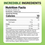 Close up of Dr. Berg lemon flavored wheatgrass juice powder container showing keto and vegan dietary attributes