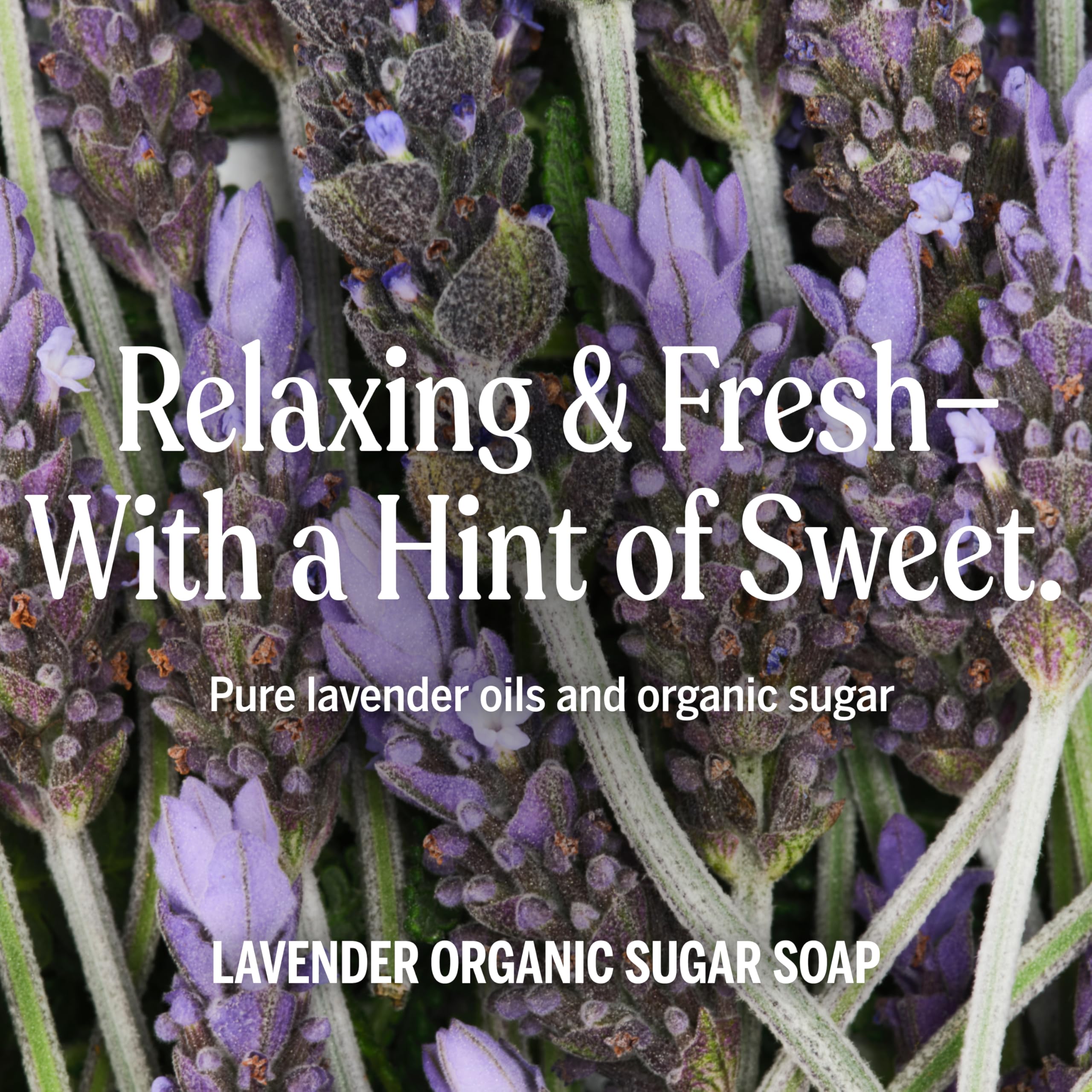 Eco-friendly vegan sugar soap by Dr. Bronner's featuring fair-trade ingredients and shikakai powder.