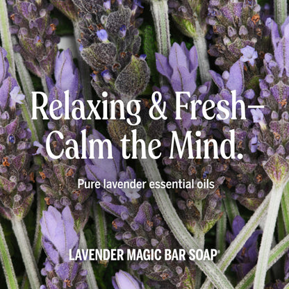 Two 5 ounce bars of Dr. Bronner's pure-castile lavender soap