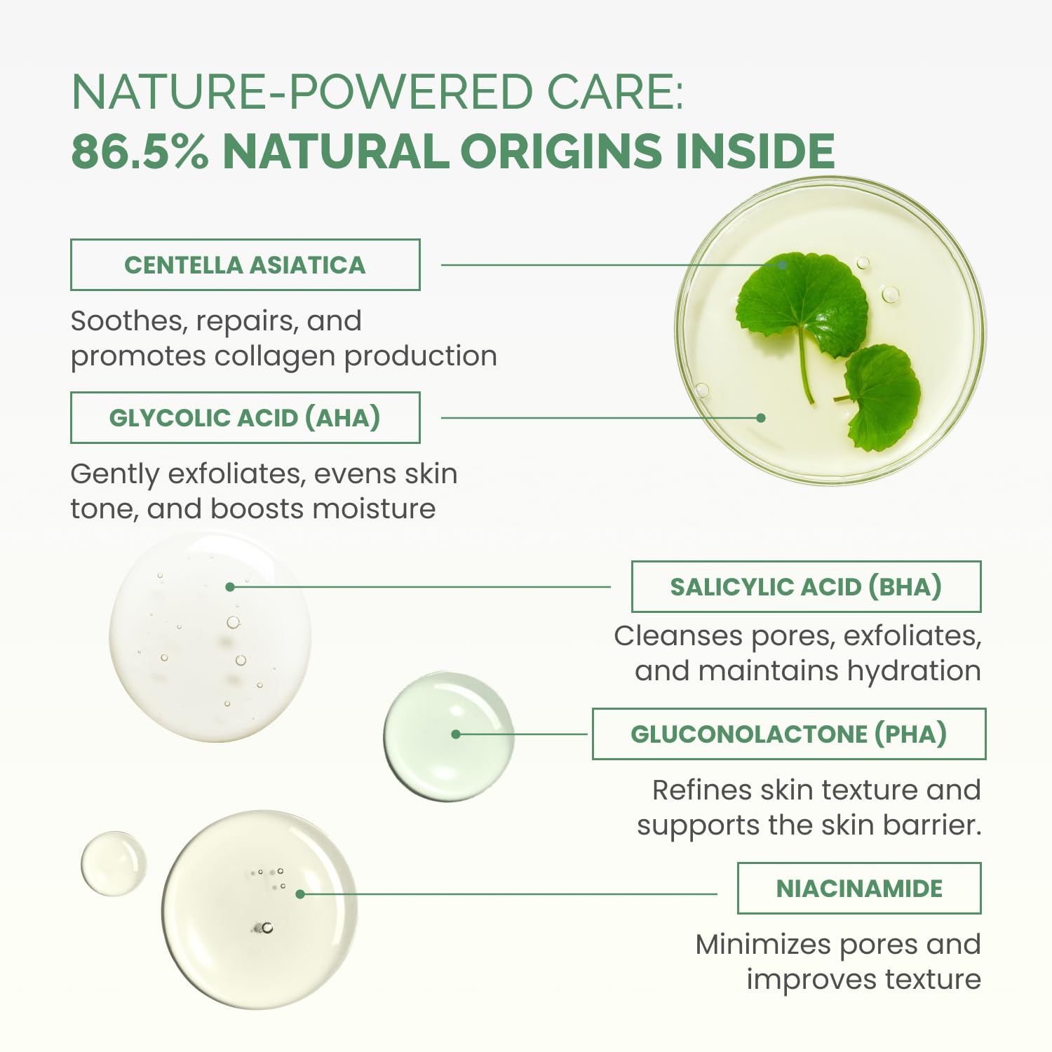 Plantifique Korean skincare toner pads packaging