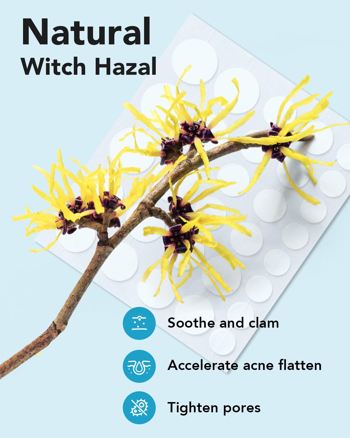LitBear spot treatment stickers packaging displaying key botanical ingredients tea tree and witch hazel