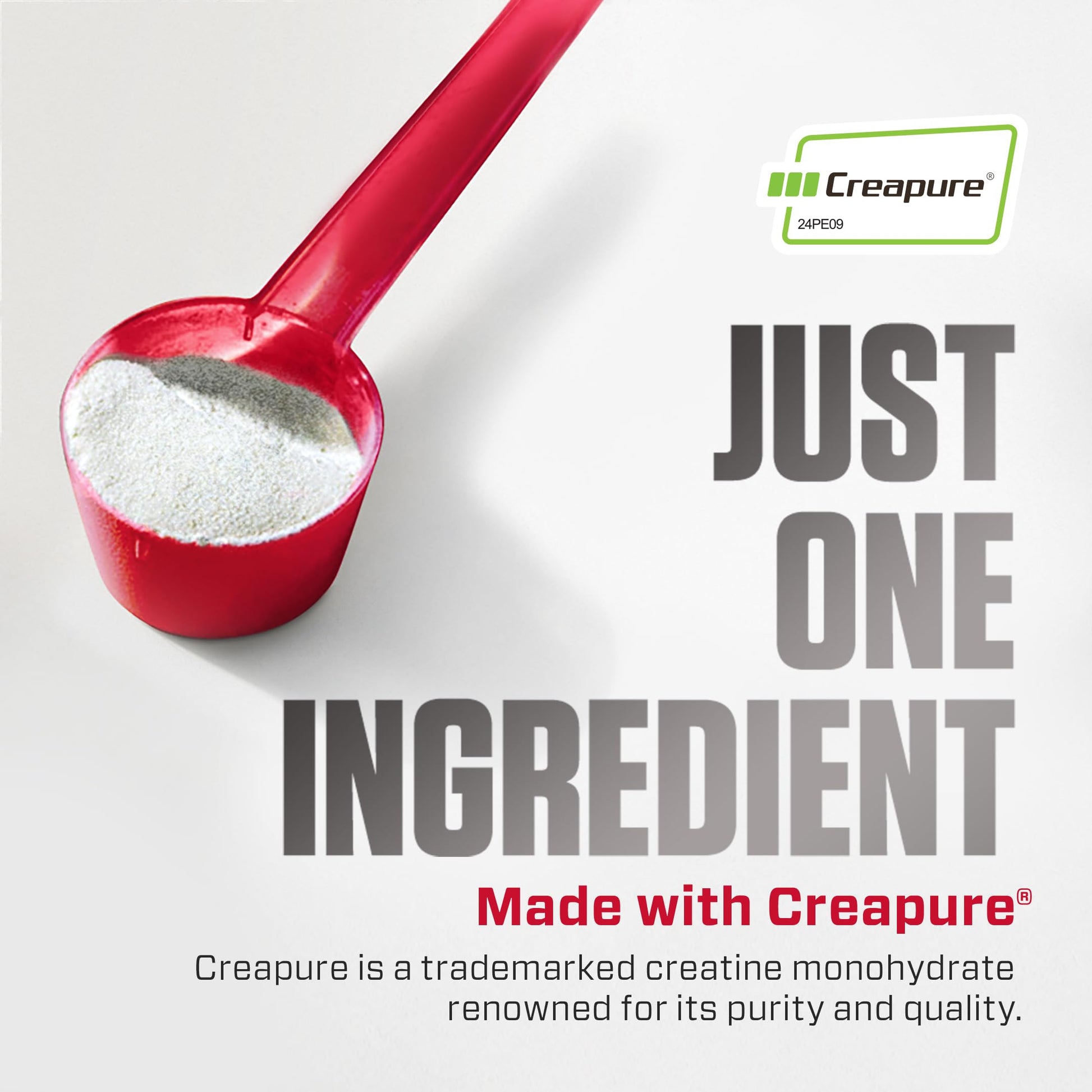 Premium German sourced Creapure seal on authentic Dymatize container