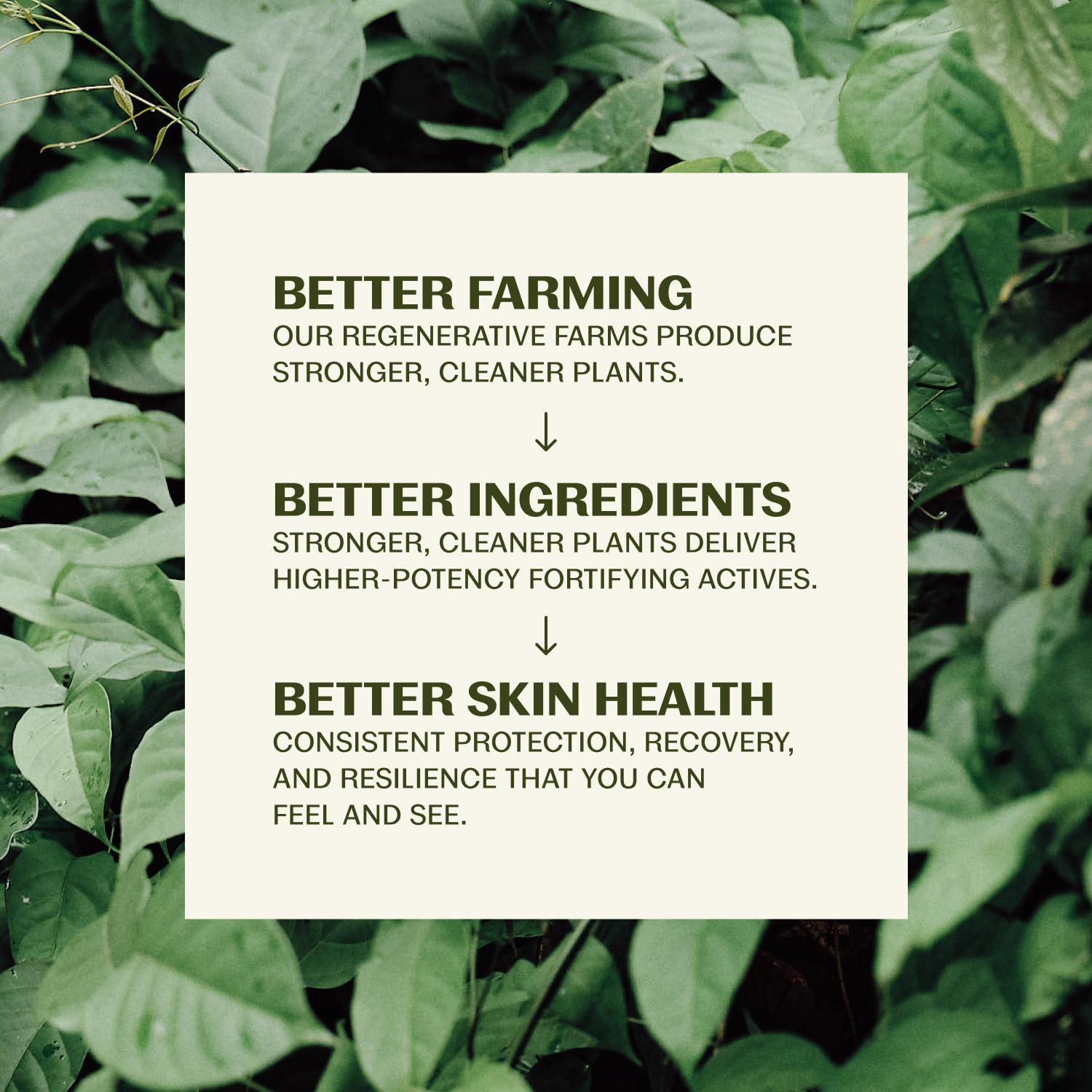 Back label of Thrive natural care face scrub displaying ingredients and usage directions