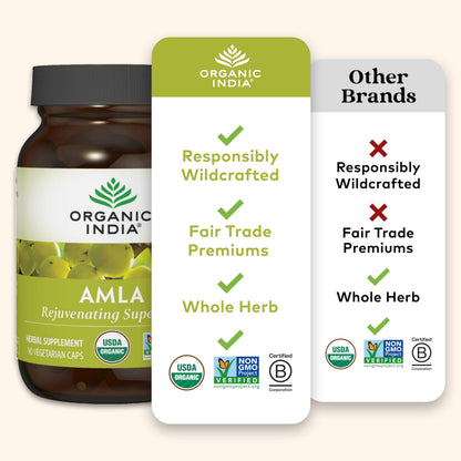 Authentic imported bottle of Organic India amla showing certified organic security printing.