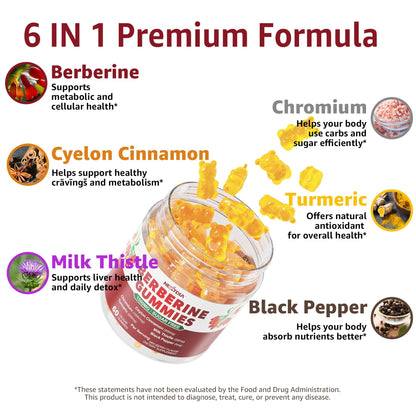 Nextdia 6 in 1 premium formula berberine with ceylon cinnamon packaging close up