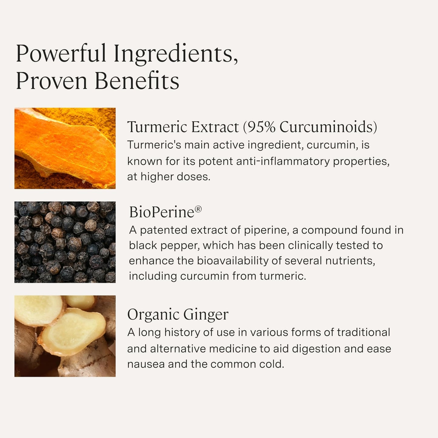 Stonehenge Health Dynamic Turmeric capsules with organic ginger root and BioPerine ingredient list side view