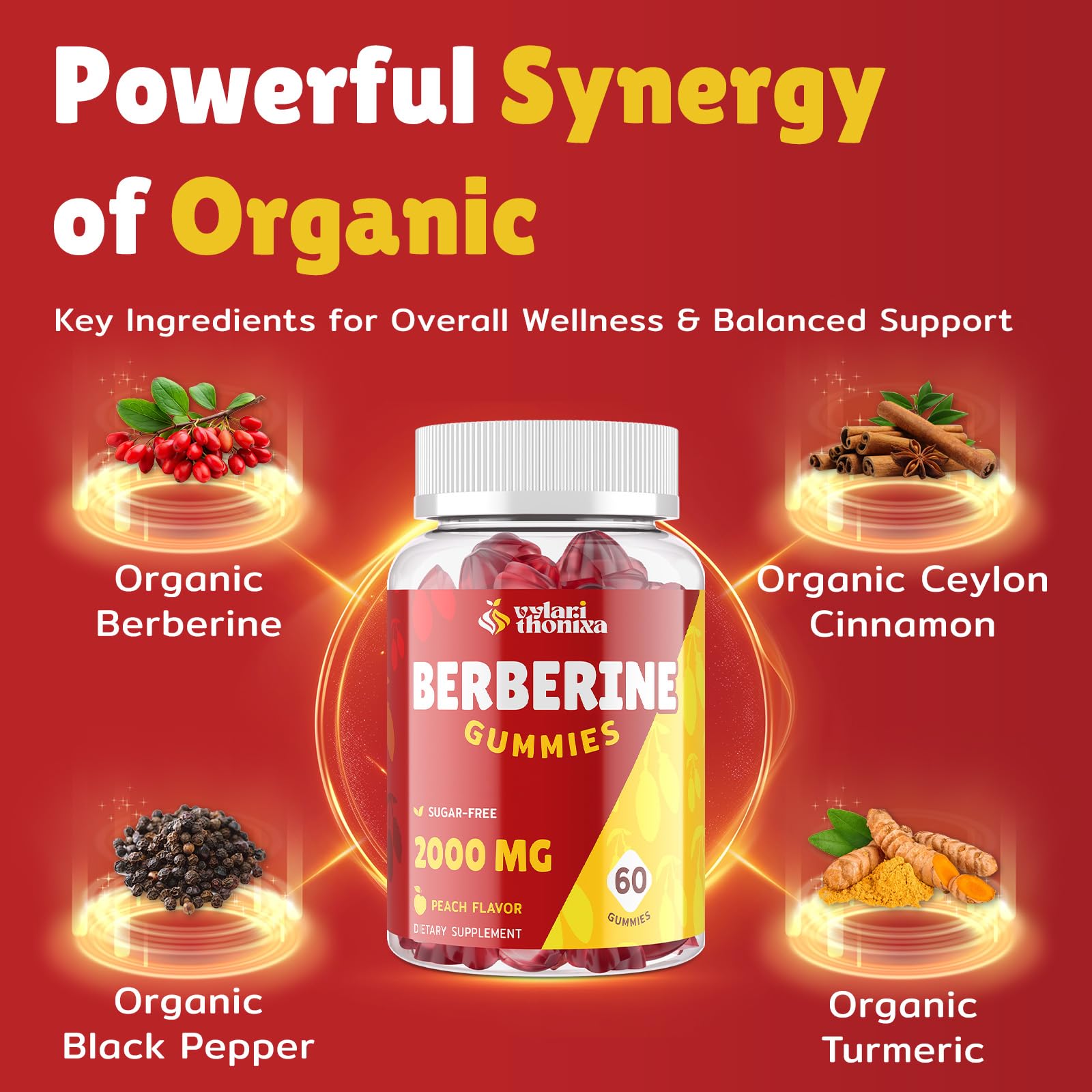 Vylarithonixa berberine HCL 2000mg premium formula lifestyle presentation