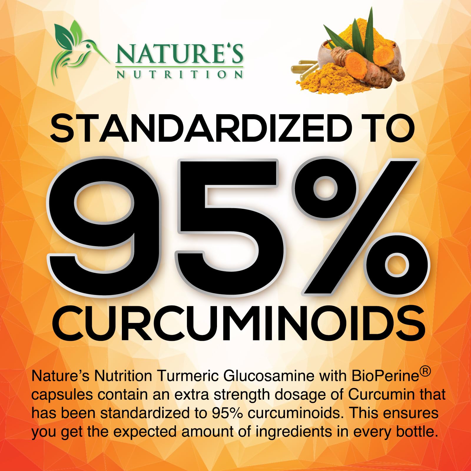 Nature's Nutrition premium turmeric and ginger veggie capsules displayed next to the product packaging