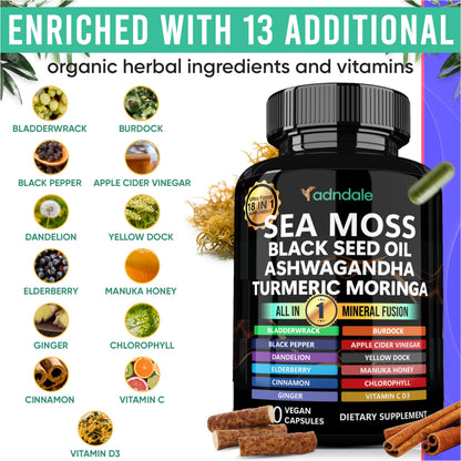 Adndale premium vegan capsules with sea moss and ashwagandha ingredients