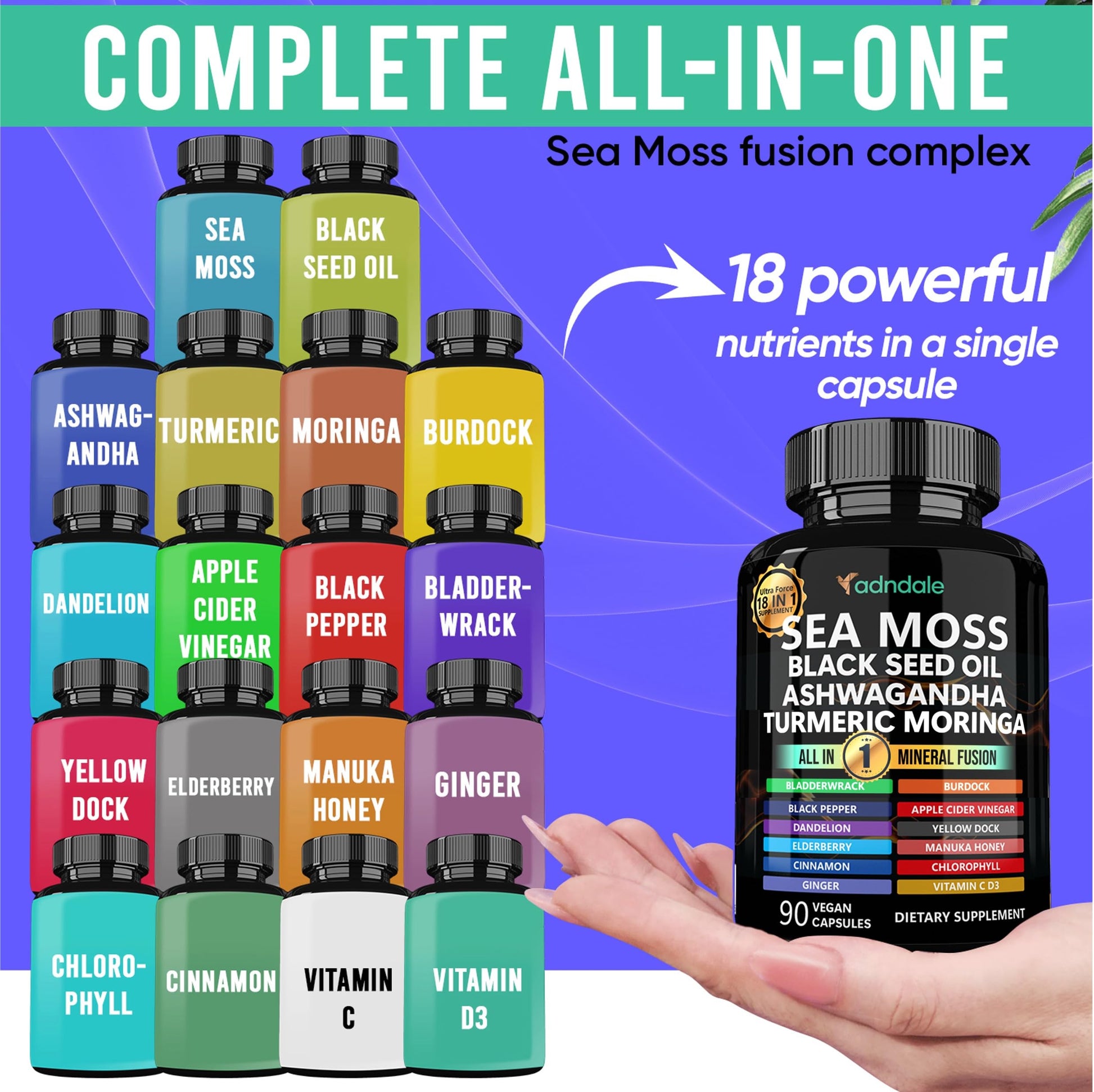 Adndale authentic USA imported sea moss and black seed oil formula