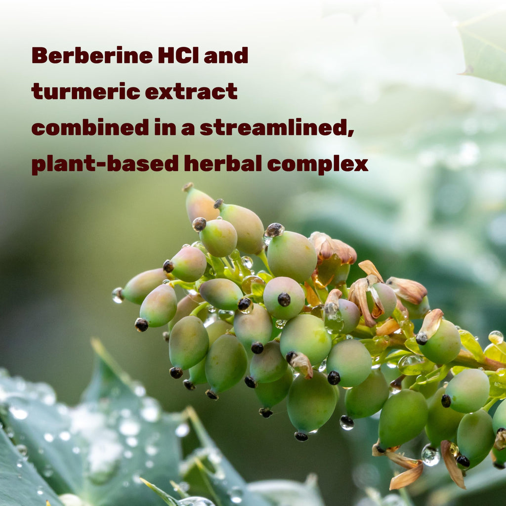 Authentic Deal Supplement Berberine 240 veggie capsules packaging displaying third-party lab tested certification.