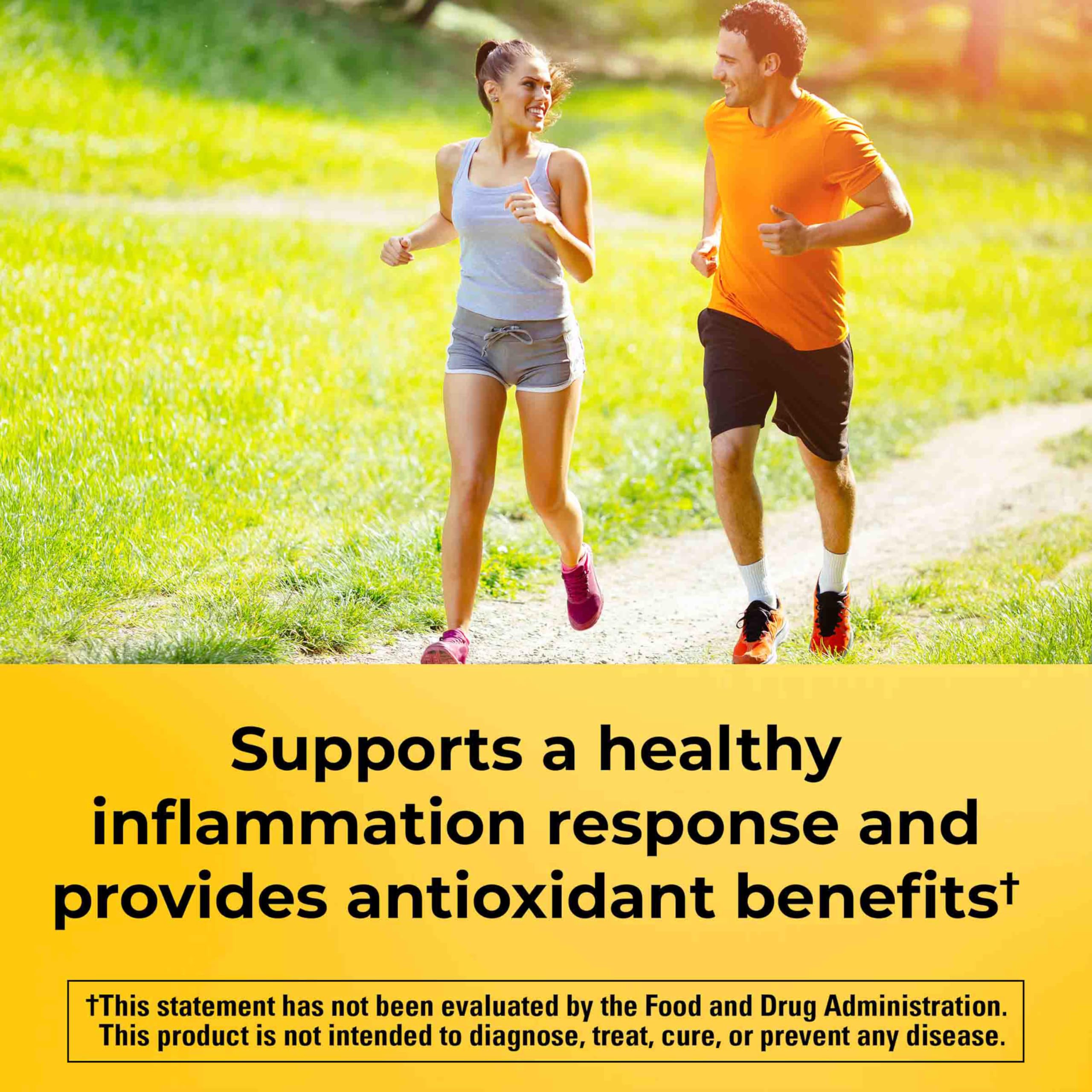 Nature Made Turmeric Curcumin 60 vegetarian capsules supplement facts and ingredient list