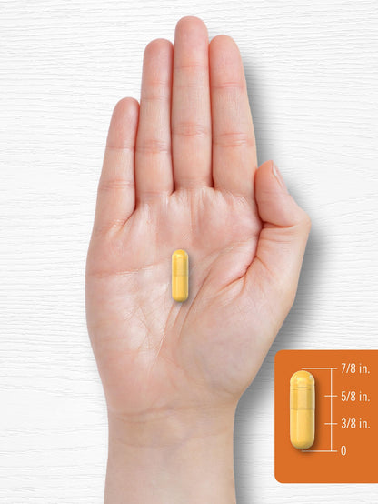 Premium golden herb turmeric curcumin complex capsules by Carlyle Nutritionals