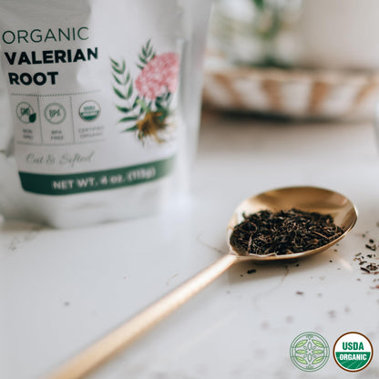 Measuring a spoonful of dried organic valerian root for brewing natural relaxation herbal tea infusions.