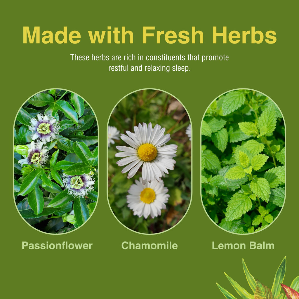 Herbs Etc Deep Sleep fast acting capsules side panel detailing nutritional supplement facts.