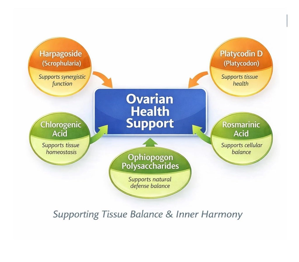 Authentic USA imported LIG Ovarian Health tablets for reproductive wellness and cycle ease