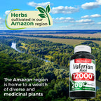 Fito Medics Lab Valerian Root 12000mg dietary supplement bottle placed clearly on a clean background for consumer transparency.