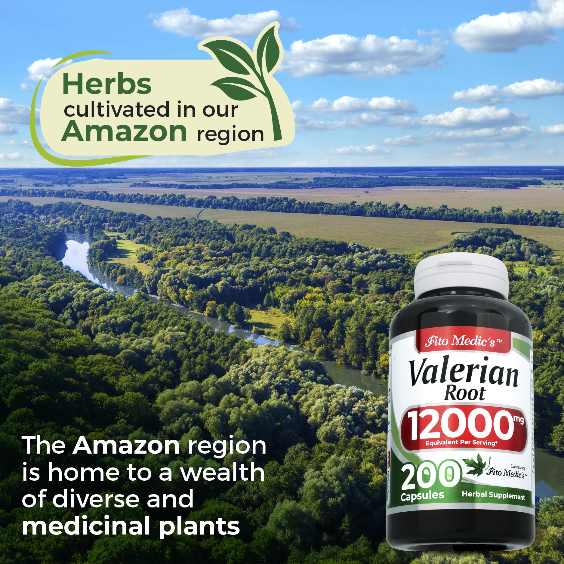 Fito Medics Lab Valerian Root 12000mg dietary supplement bottle placed clearly on a clean background for consumer transparency.