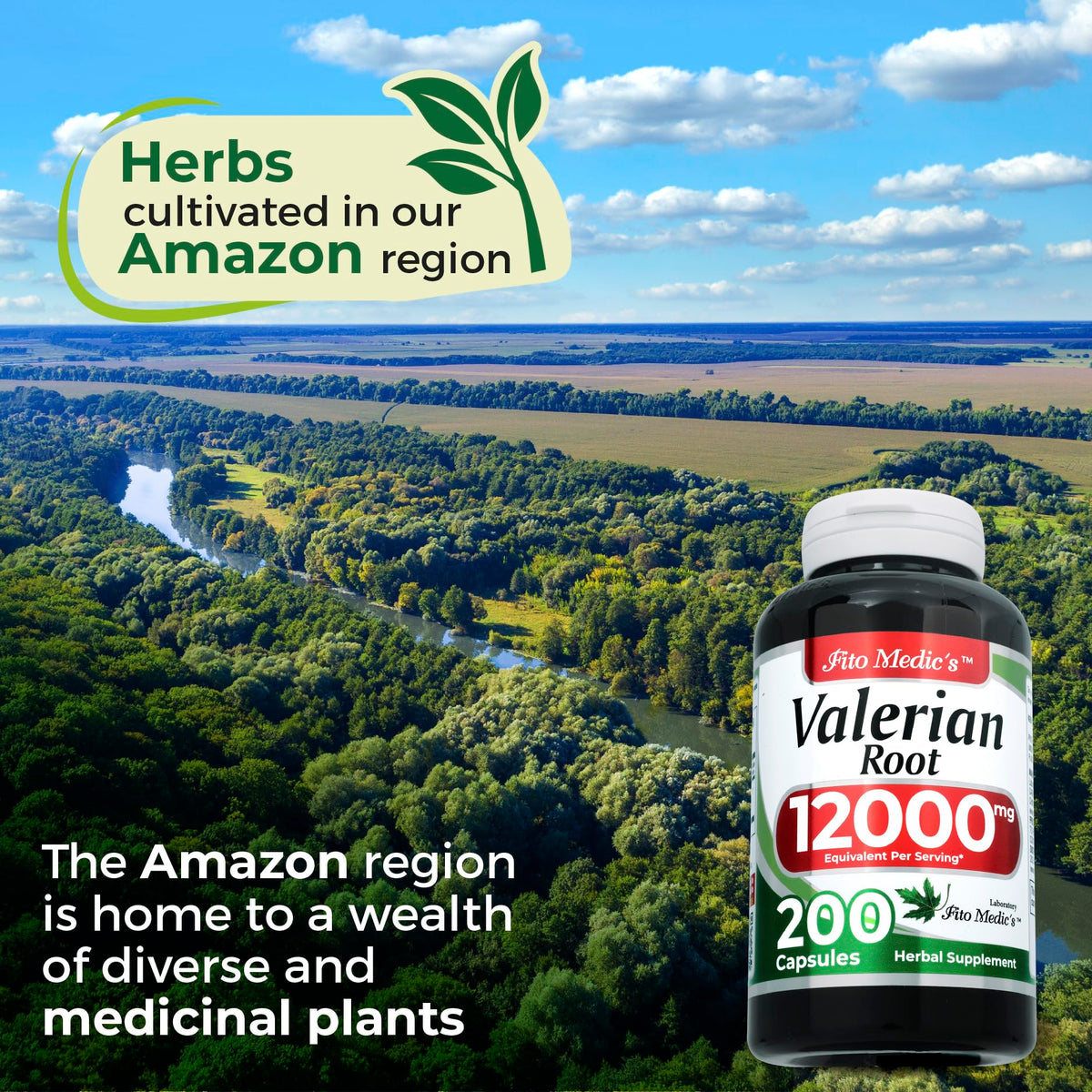Fito Medics Lab Valerian Root 12000mg dietary supplement bottle placed clearly on a clean background for consumer transparency.