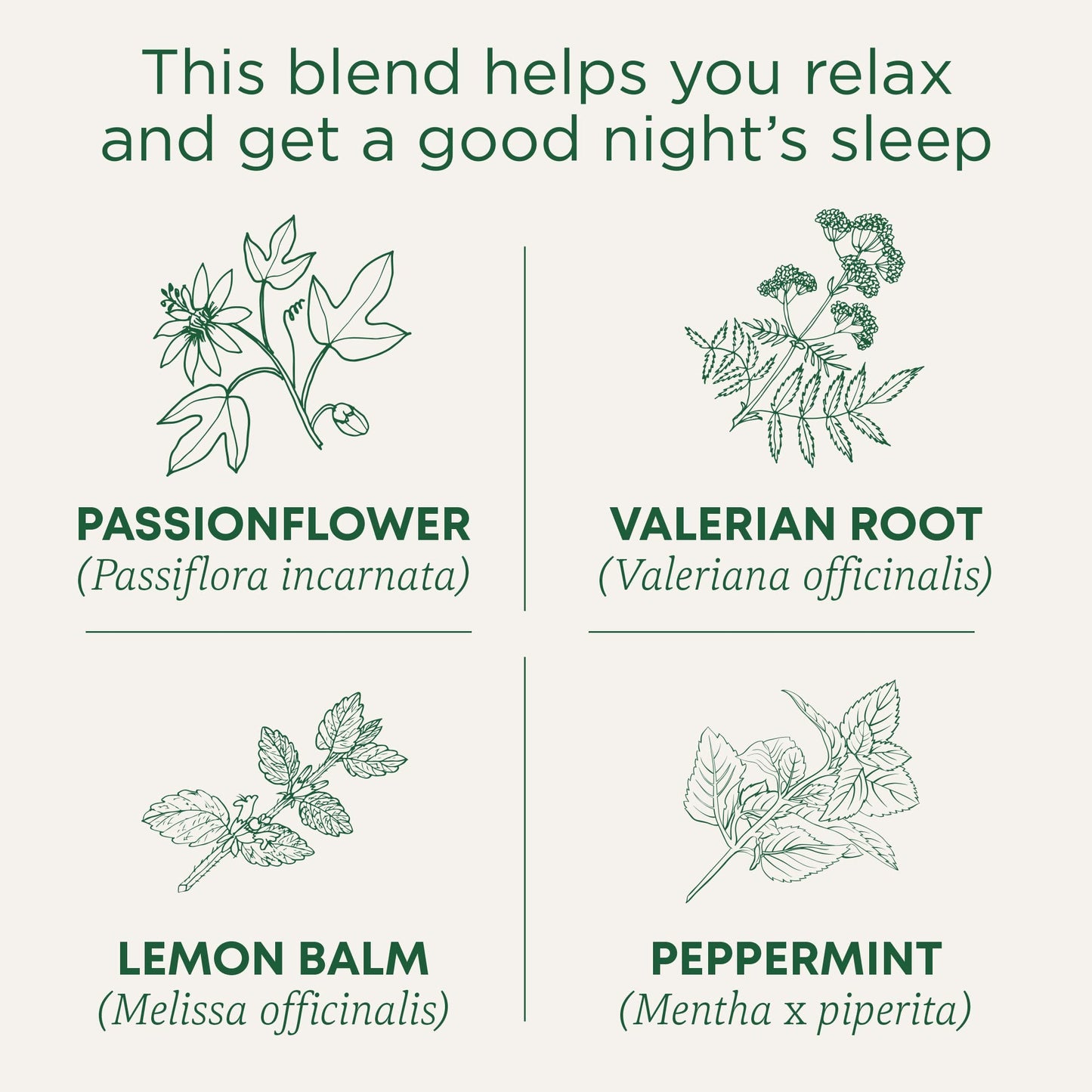 Traditional Medicinals caffeine free sleep aid tea box back view with brewing steps