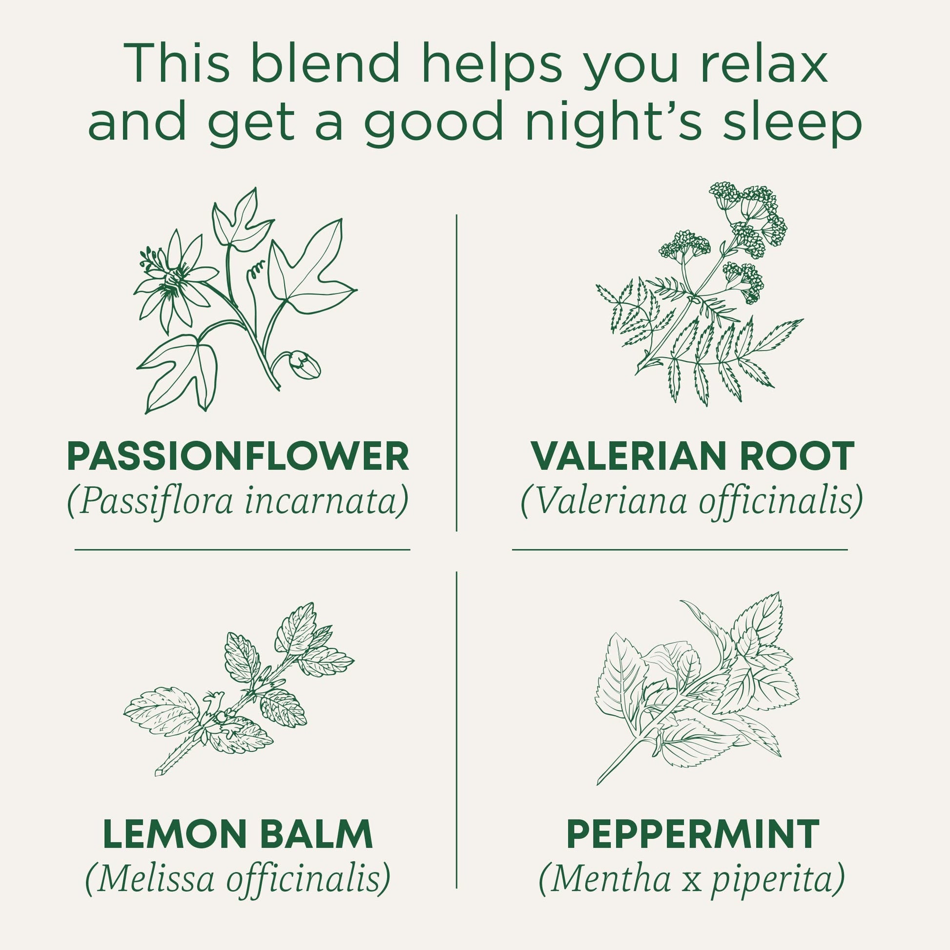 Traditional Medicinals caffeine free sleep aid tea box back view with brewing steps