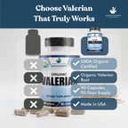 Close-up of the capsule texture showing the herbal powder inside the clear plant-based pullulan capsules.
