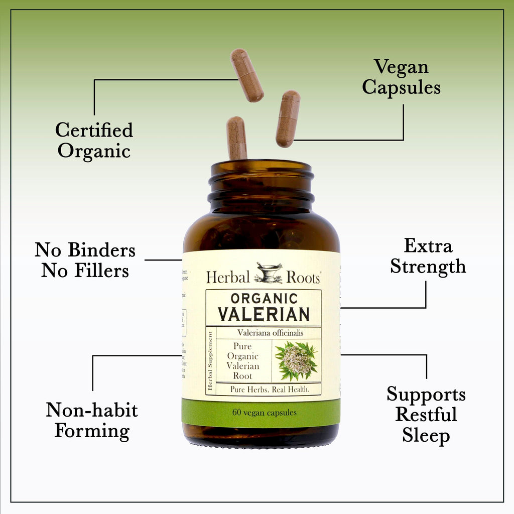 Herbal Roots organic valerian root capsules spilled next to the amber glass bottle showing vegan pills