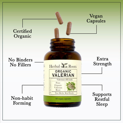 Herbal Roots organic valerian root capsules spilled next to the amber glass bottle showing vegan pills