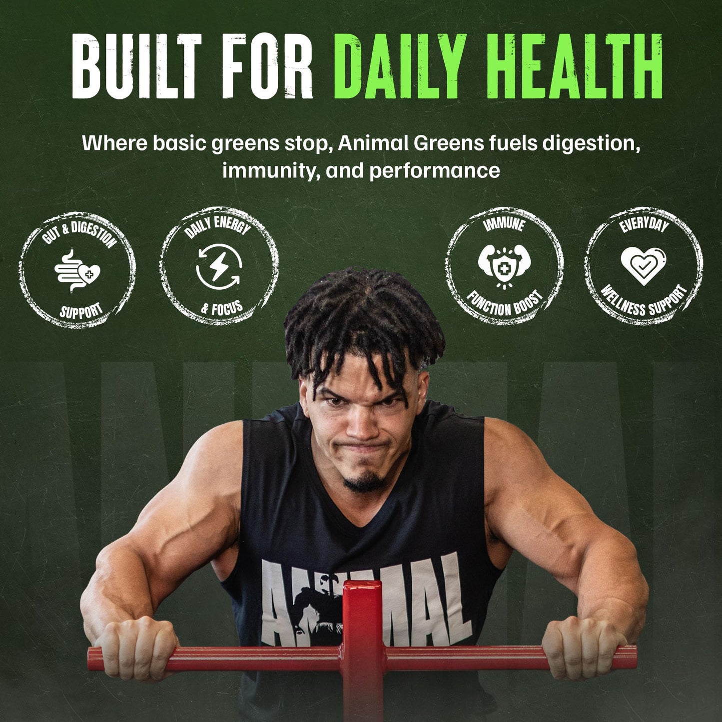 Back view of Animal Daily Greens pill box with ingredients