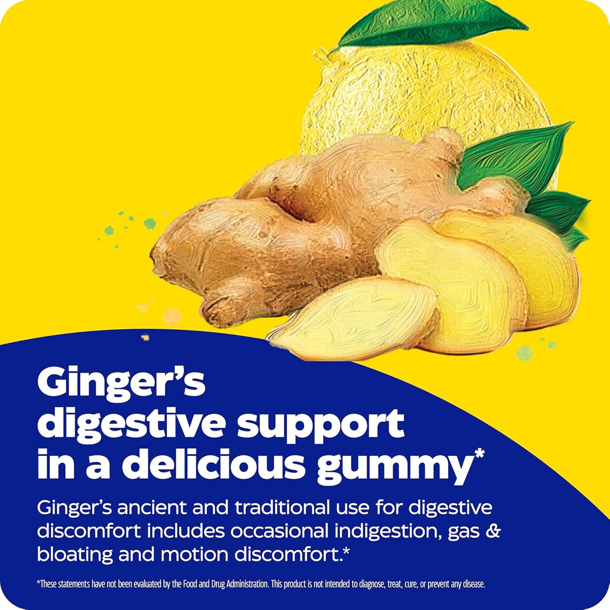 Enzymedica high potency ginger and vitamin b6 supplement bottle showing plant based pectin formula.