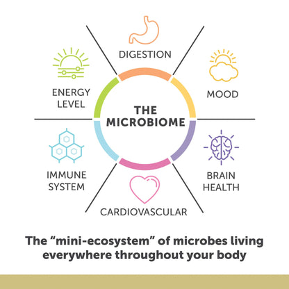 Authentic Enzymedica maximum strength fish oil bottle displaying EPA DHA and DPA ingredients for microbiome health