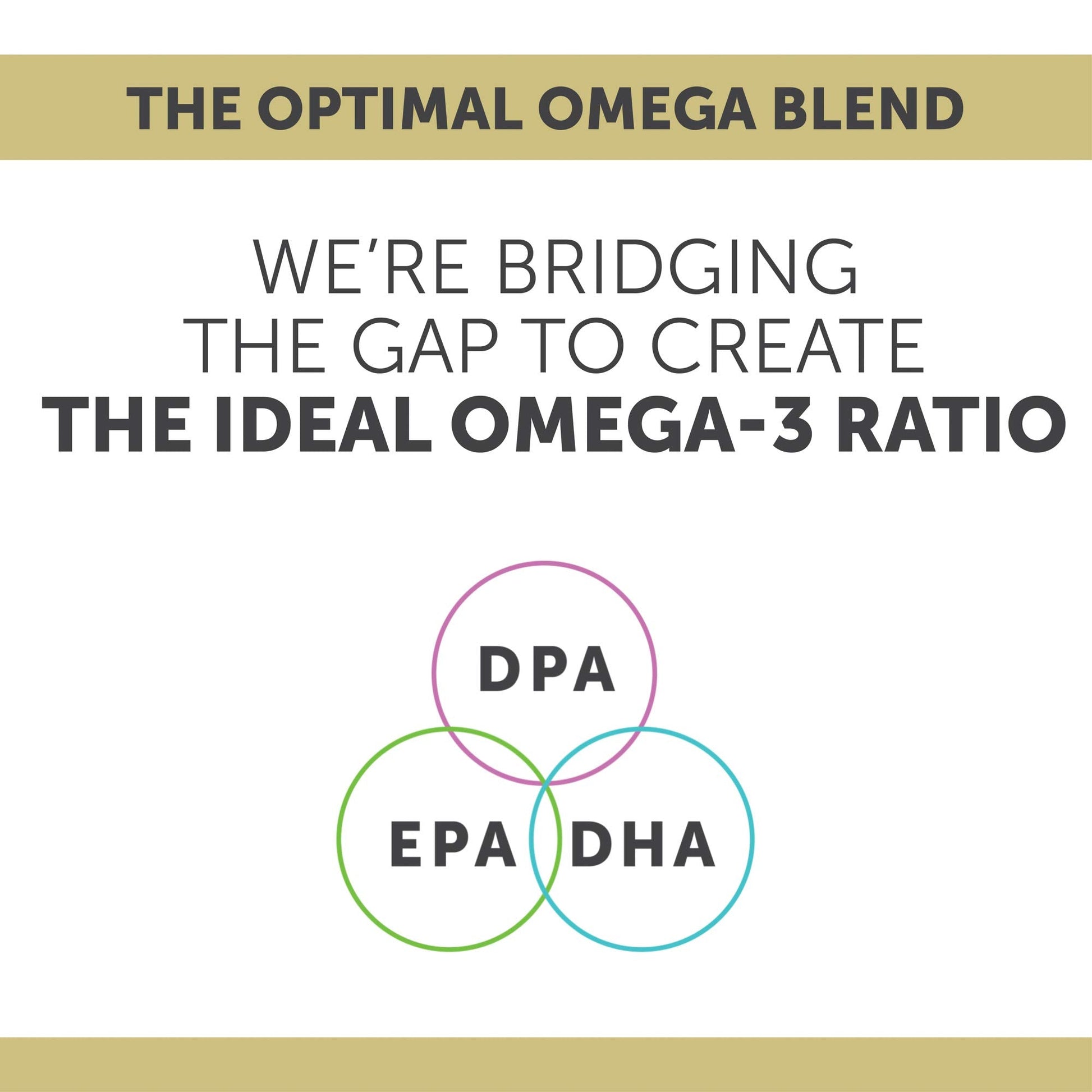 USA imported Enzymedica omega 3 supplement packaging emphasizing zero fishy aftertaste and natural lemon oil flavor