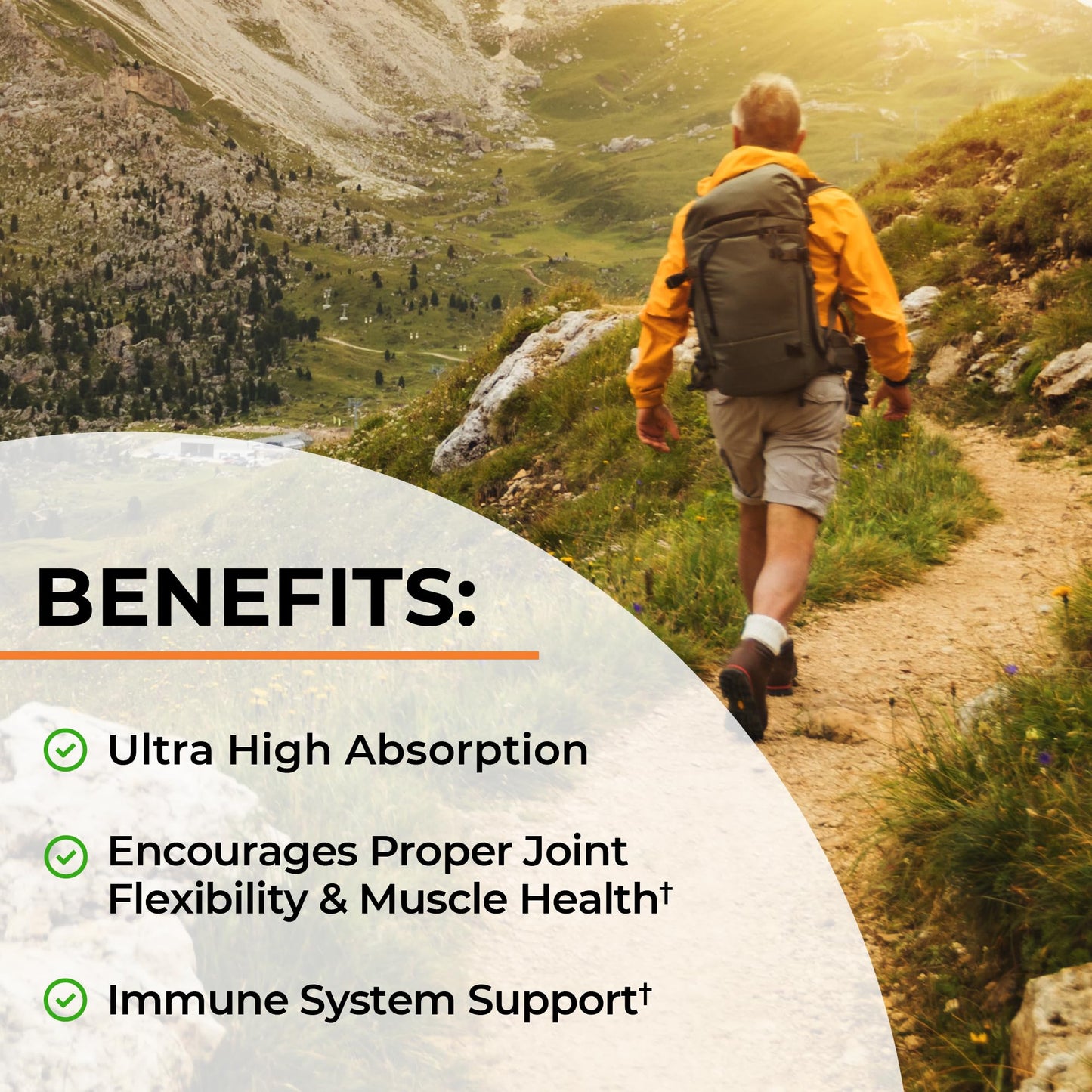 BioSchwartz Turmeric Curcumin advanced formula seal showing non GMO gluten free and doctor formulated icons