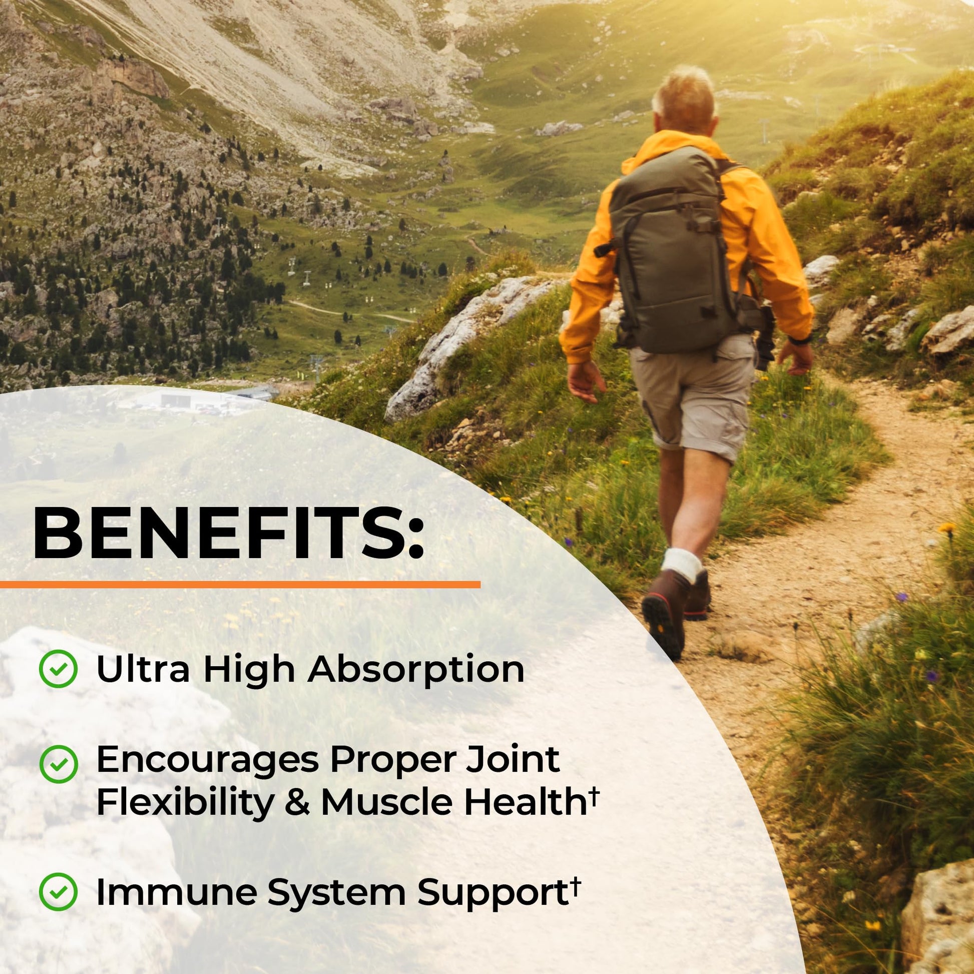 BioSchwartz Turmeric Curcumin advanced formula seal showing non GMO gluten free and doctor formulated icons