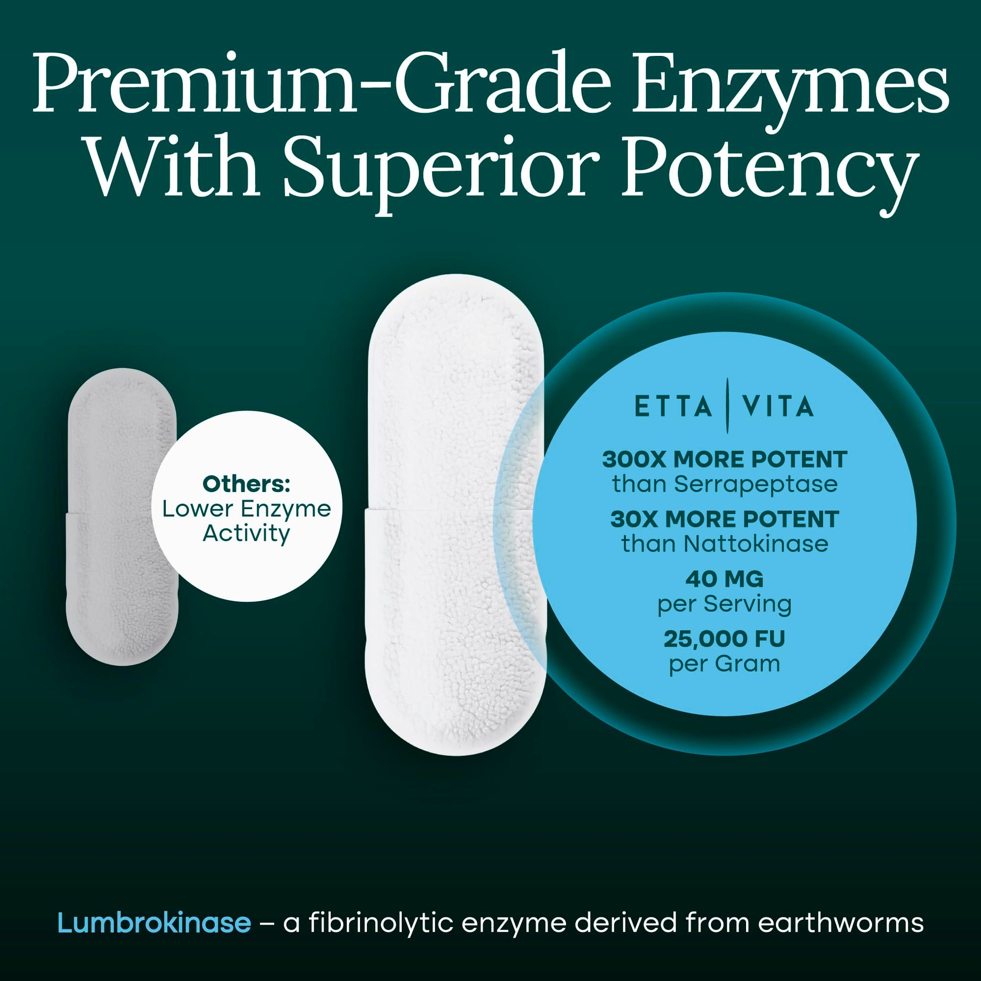 Etta Vita earthworm-derived proteolytic enzyme capsules on a clean commercial wellness backdrop