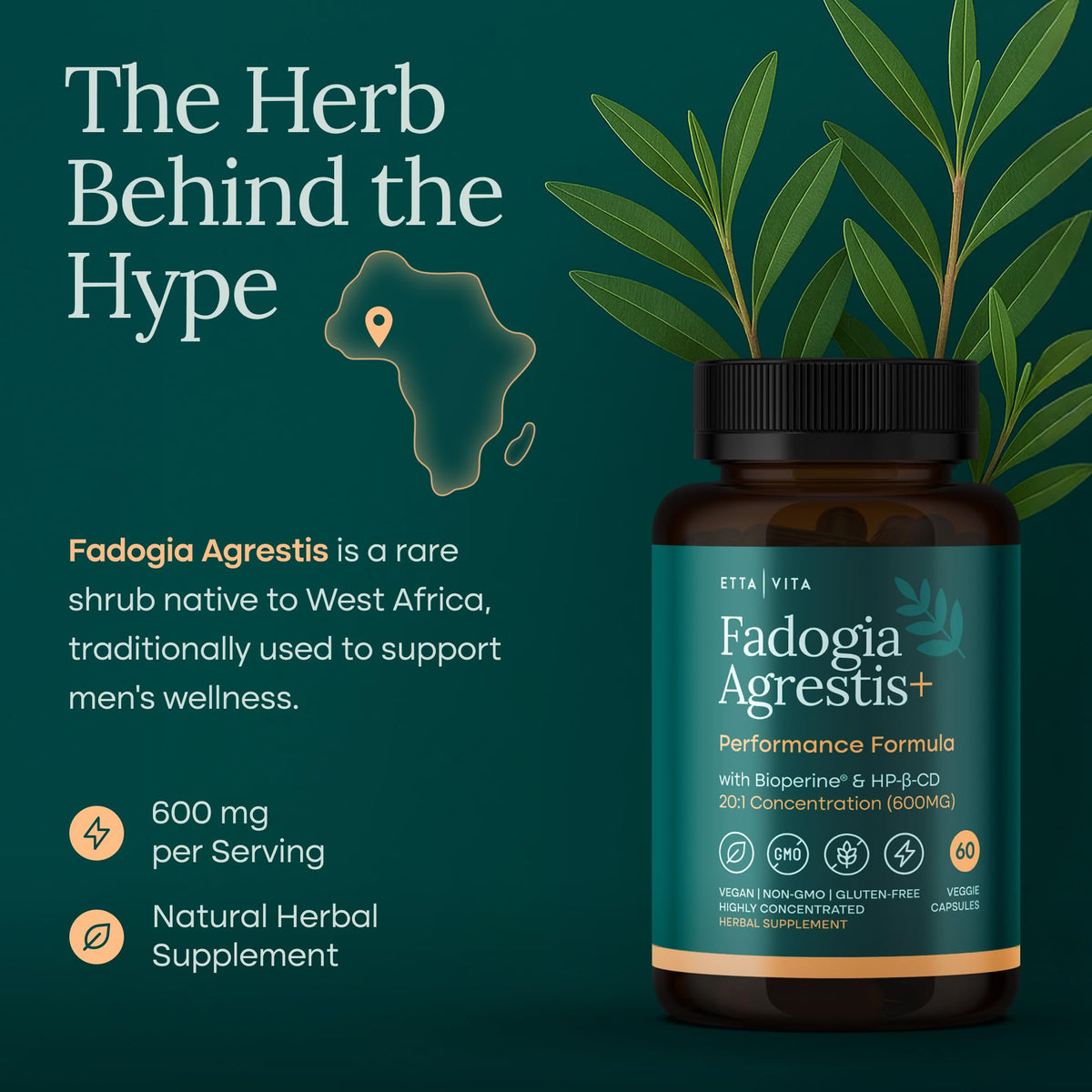 Etta Vita Fadogia Agrestis supplement facts label showing pure twenty to one extract ratio