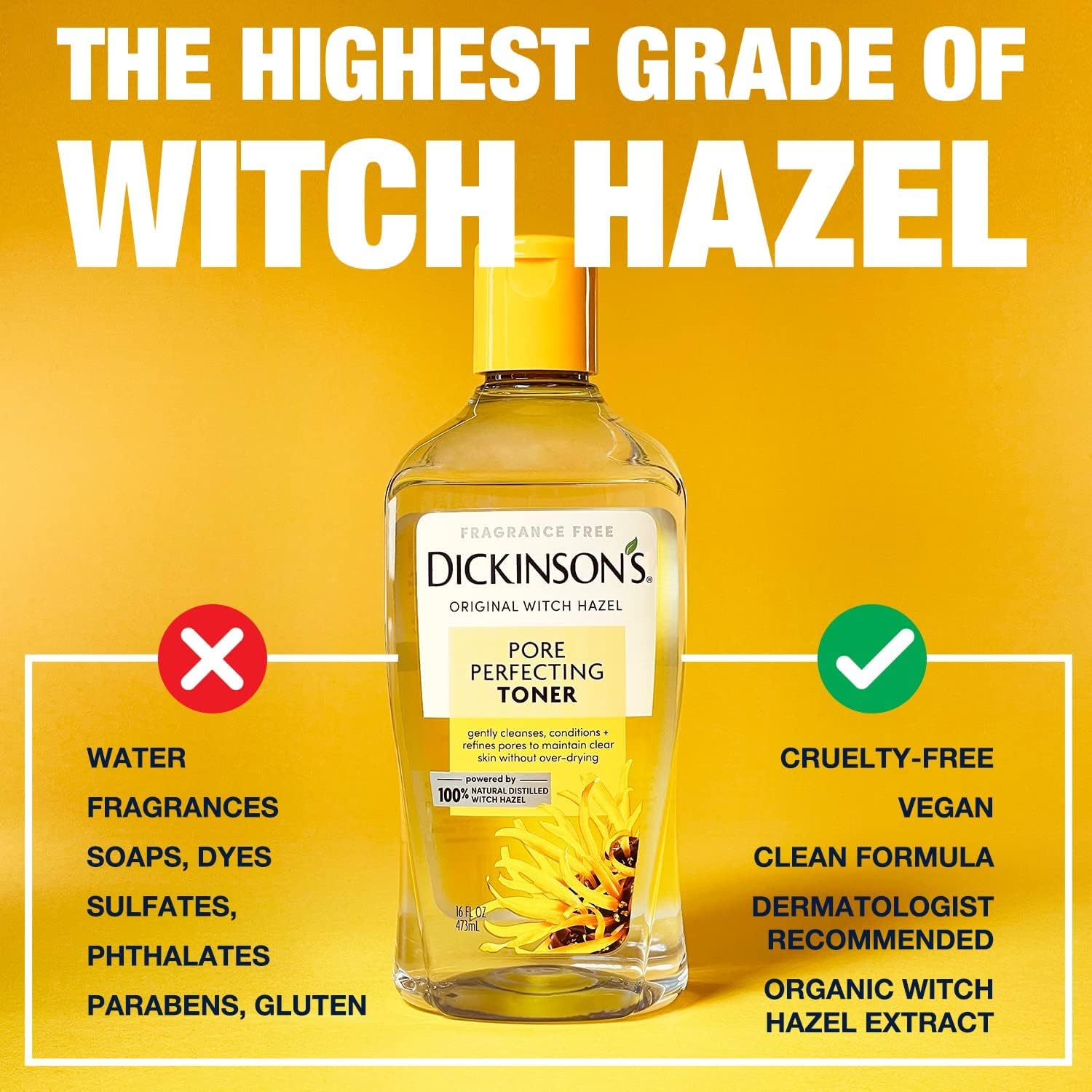 Dickinson's witch hazel toner beside skincare routine essentials