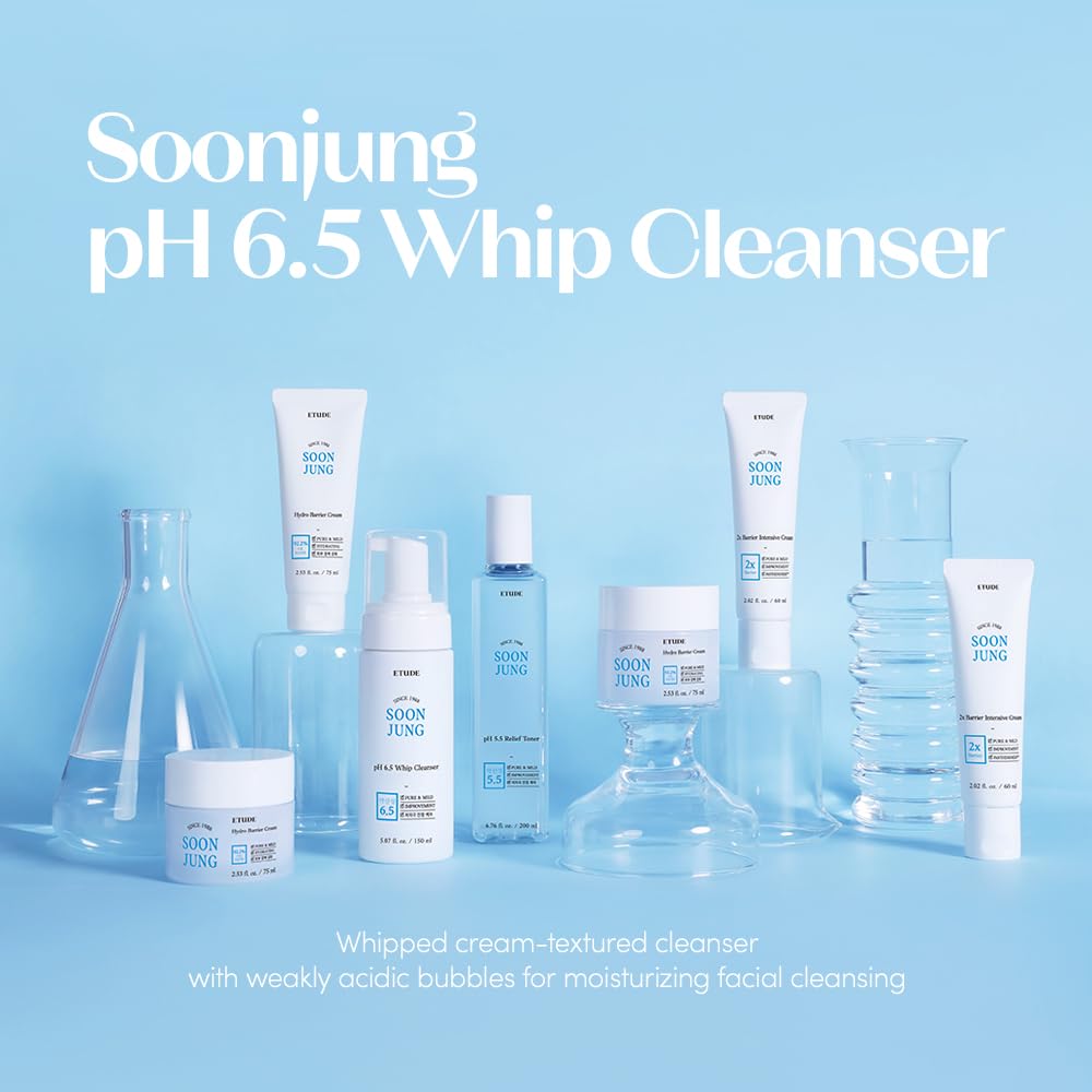 Pump mechanism of Etude SoonJung foaming face wash