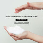 Round Lab 1025 Dokdo low pH face wash lifestyle context
