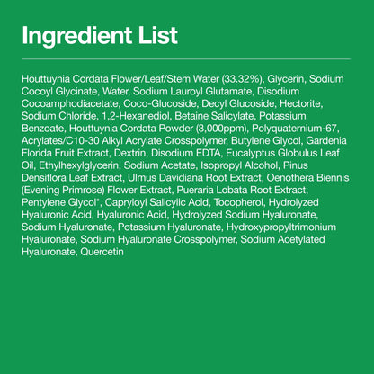 Anua Heartleaf Quercetinol Pore Deep Cleansing Foam alongside other Anua skincare products.