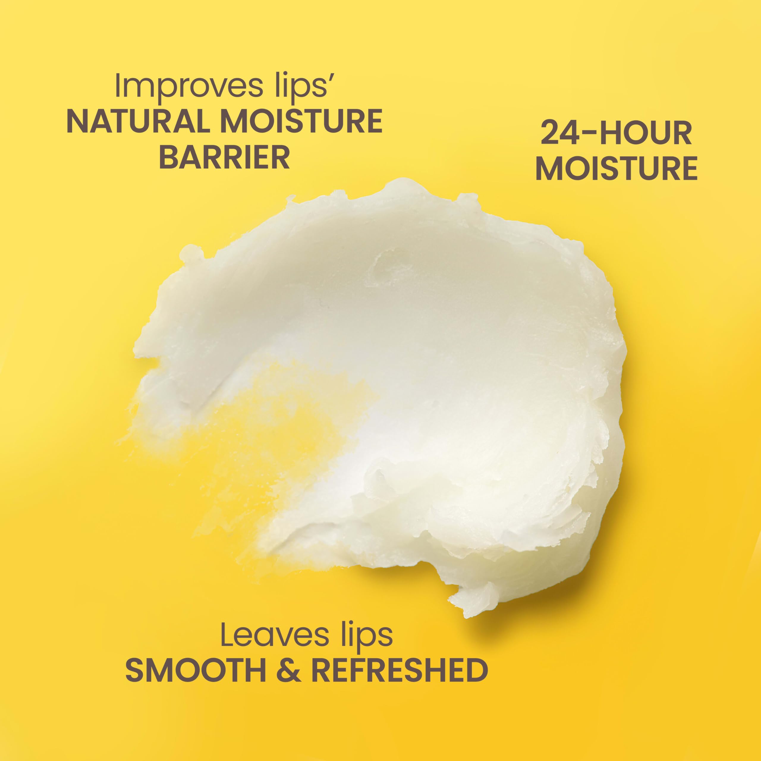 Burt's Bees tint free vanilla bean lip conditioning treatment closeup view